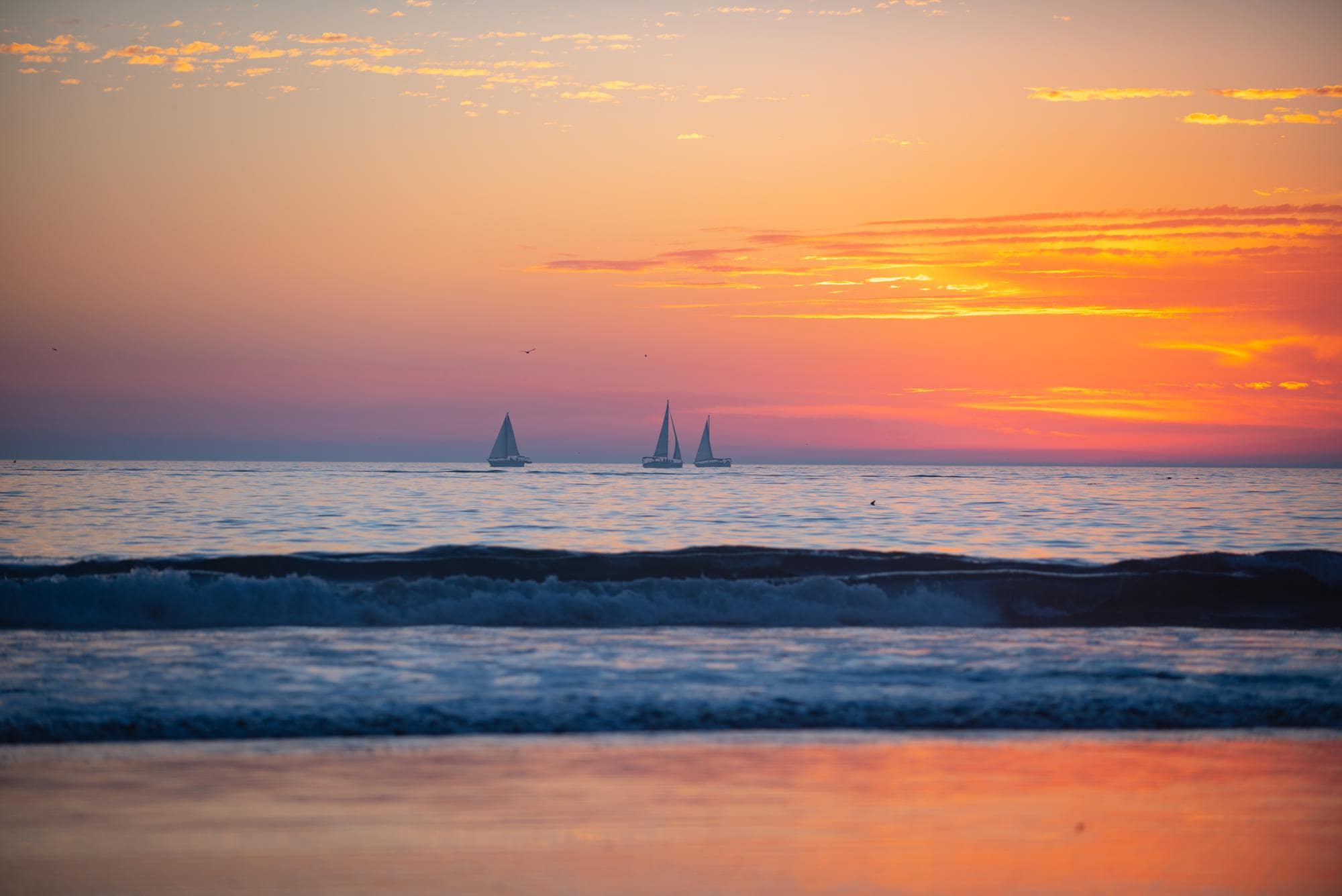 We're going to Ibiza!